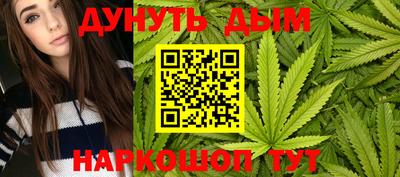 шишки Балашиха